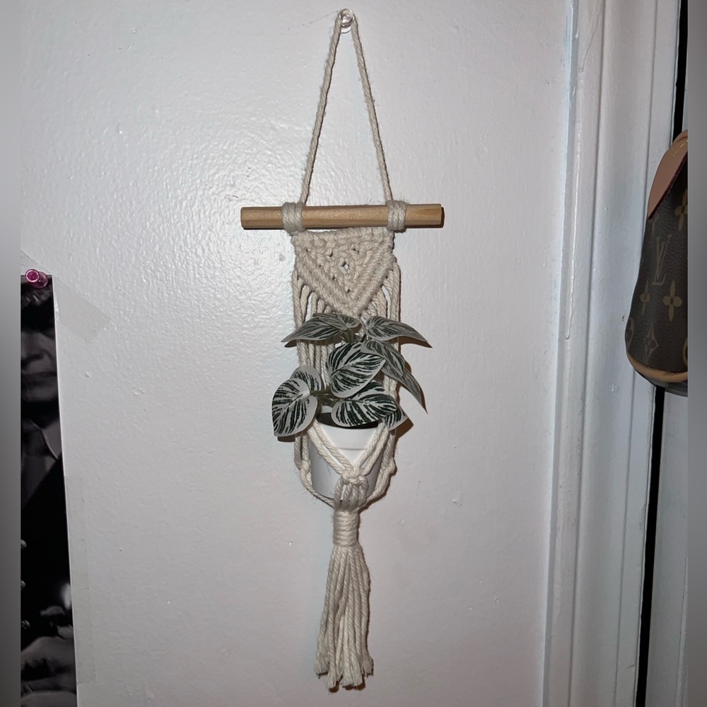 mini cream macrame plant hanger & plant